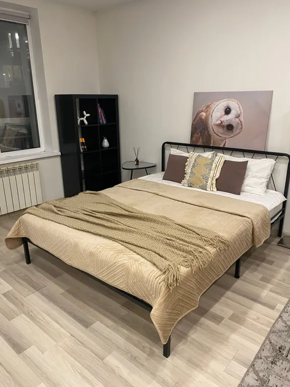 Квартира Хэппи Хаус Студия Сканди с бохо — аренда посуточно в Омск