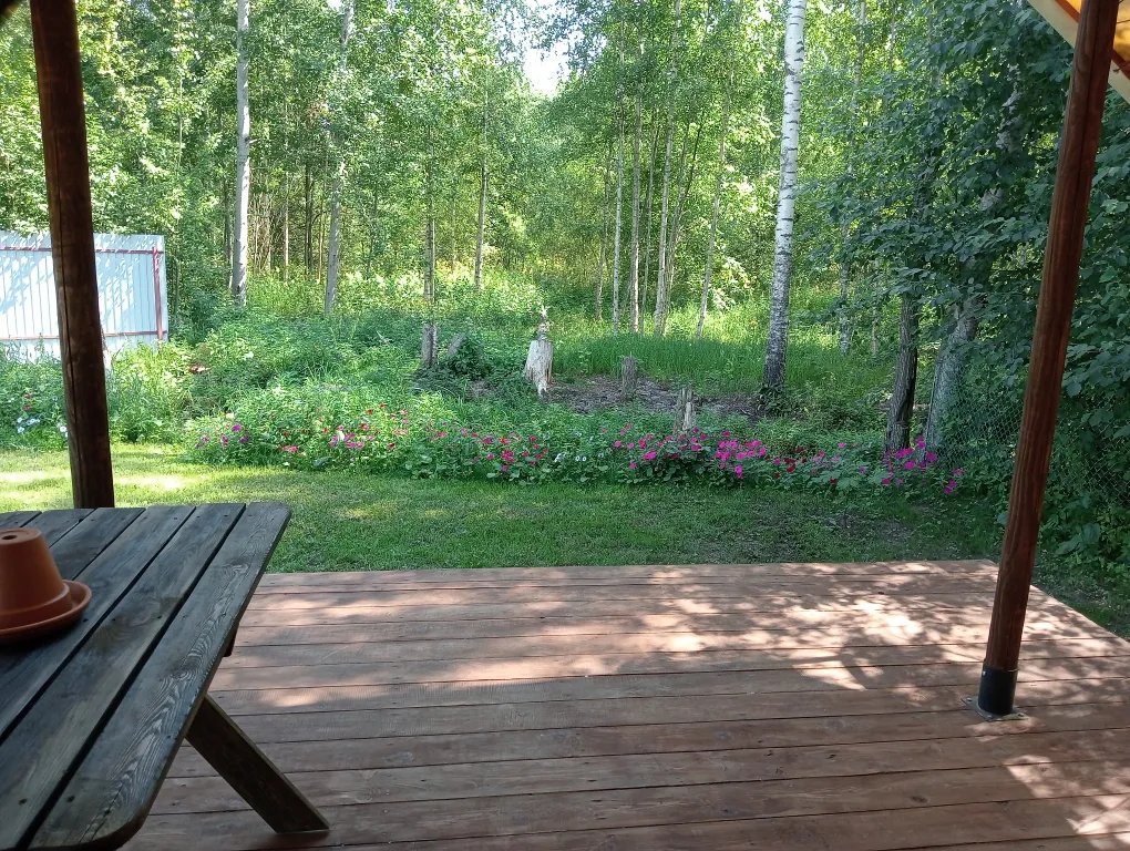 Коттедж Уютный, зимний эко-дом Сафари с потрясающим видом на ручей и лес — Зеленая Роща