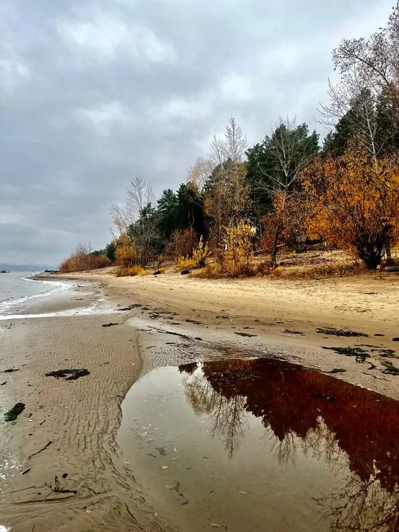 Коттеджи на берегу Волги в сосновом лесу. База отдыха " Хвоя Эко"