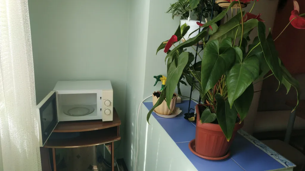 Квартира Уютная квартира в центре города, до моря идти 15 минут — Судак