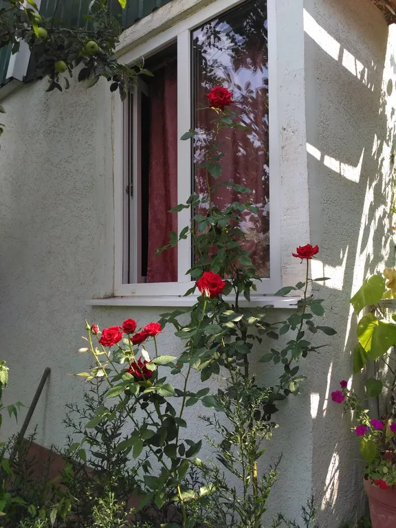 Квартира Комната — аренда посуточно в Ялта