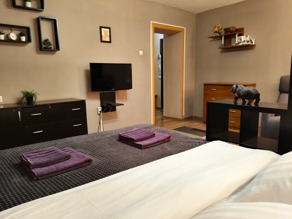 Просторная квартира с балконом в центре