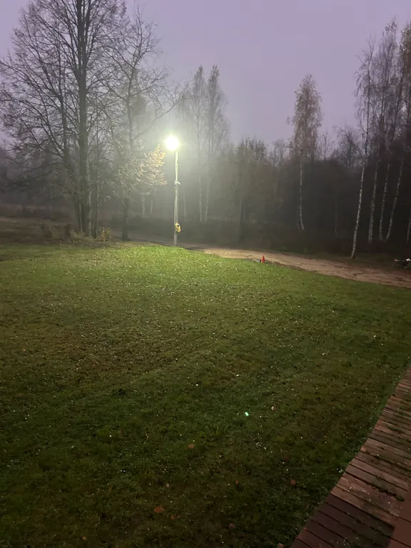 Соловьиная роща