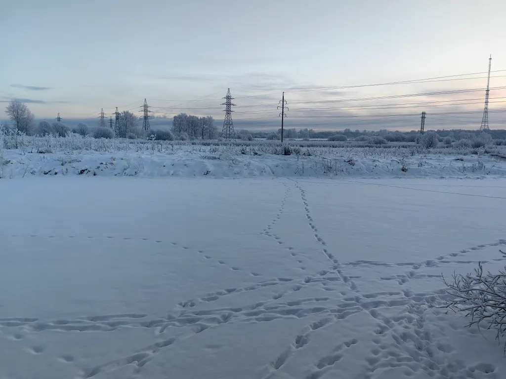 Гостевой дом Любовское в Архангельске