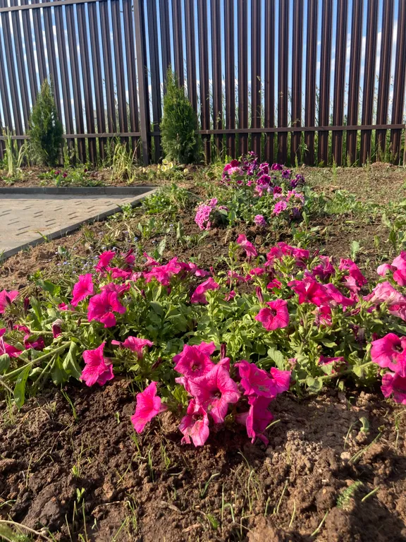 Дом возле горнолыжного курорта Сорочаны