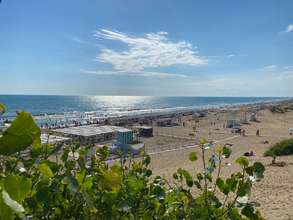 Квартира Квартира Апартамент с видом на хвойную аллею — Анапа