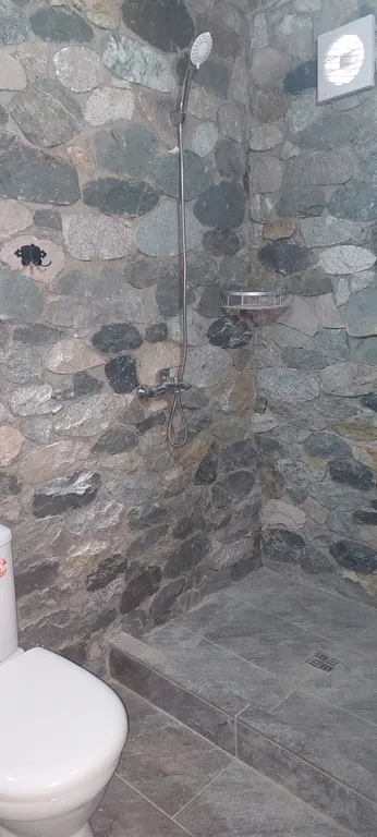 Каменный дом шале