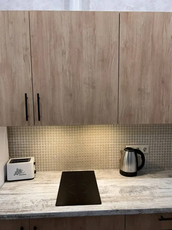 Просторная квартира в ЖК Скандинавия