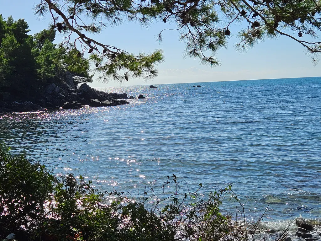 MonteBar1 часть дома с отдельным входом