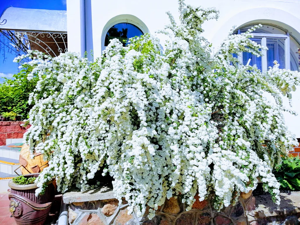 Загородный дом Очаг в 8 км от Гродно, коттедж и банька