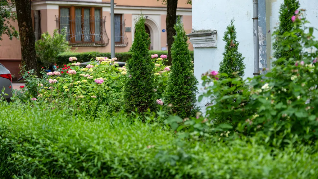 Квартира Уютная квартира — Калининград