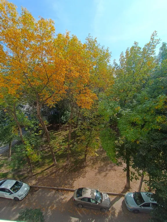 Квартира в географическом центре города