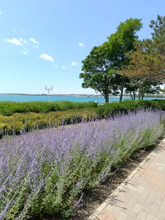 Квартира Квартира у самого Черного моря — Геленджик