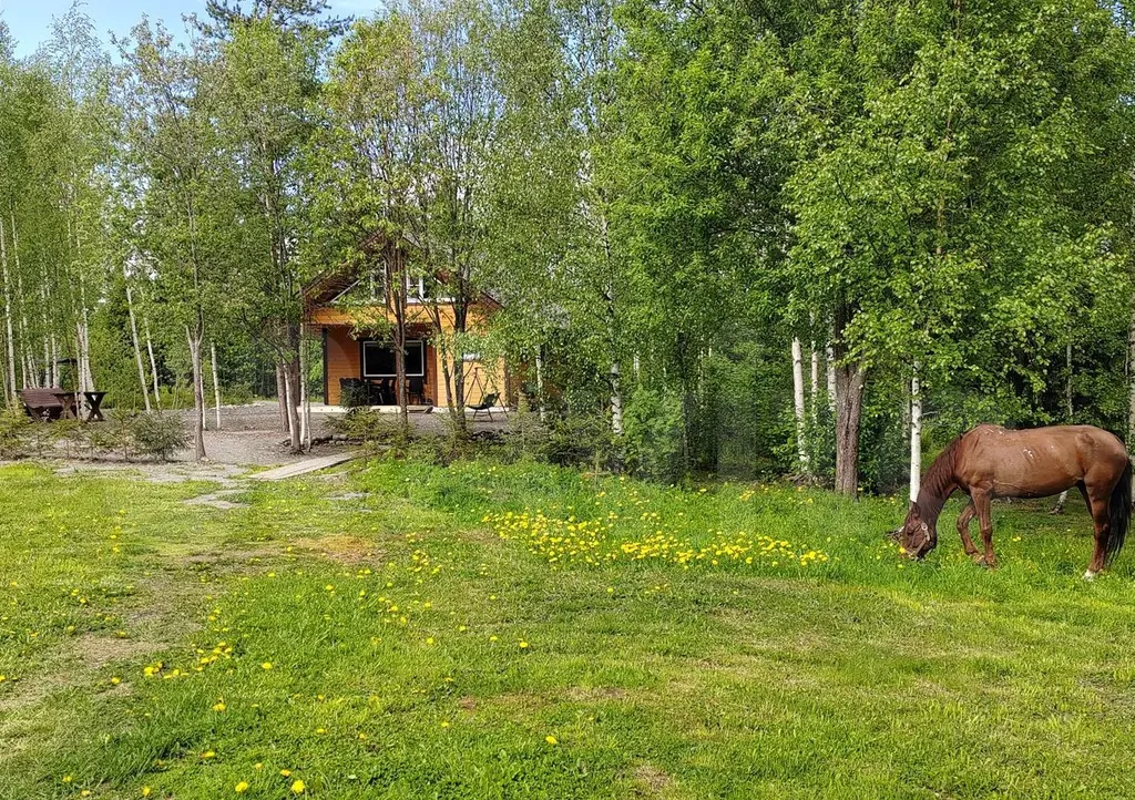 Домик у леса