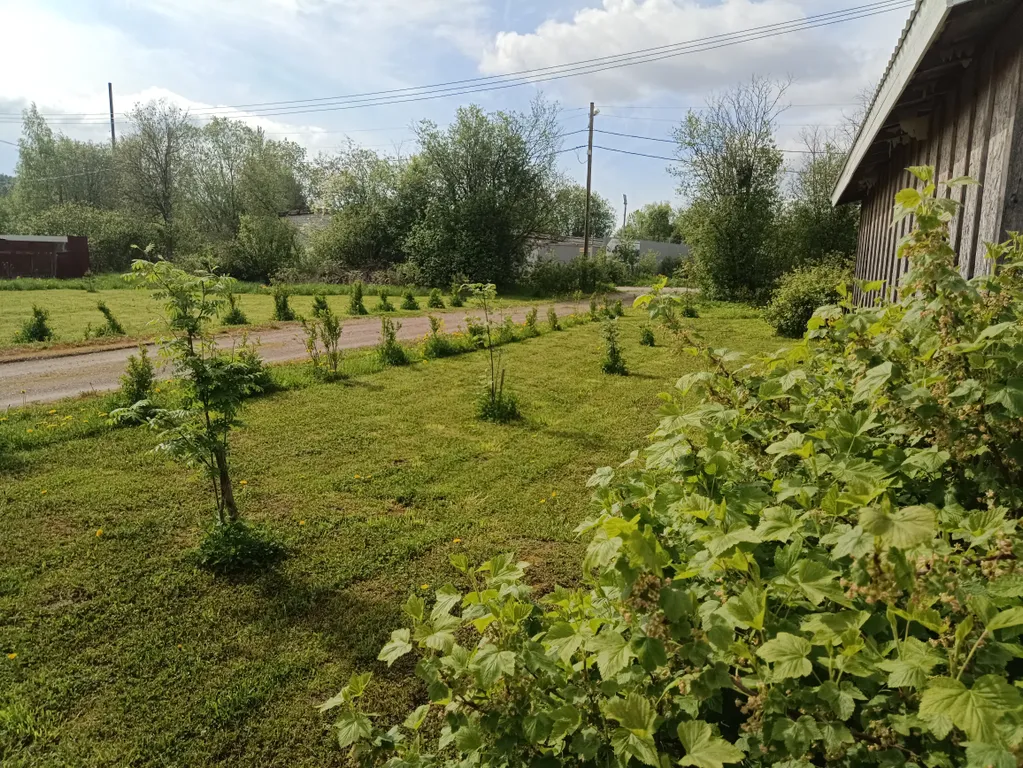 Уютный домик с сауной для спокойного отдыха