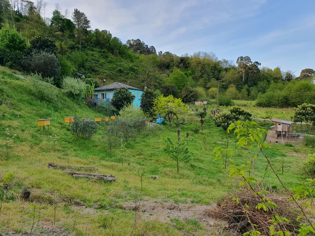 Комфортный дом с видом на горы