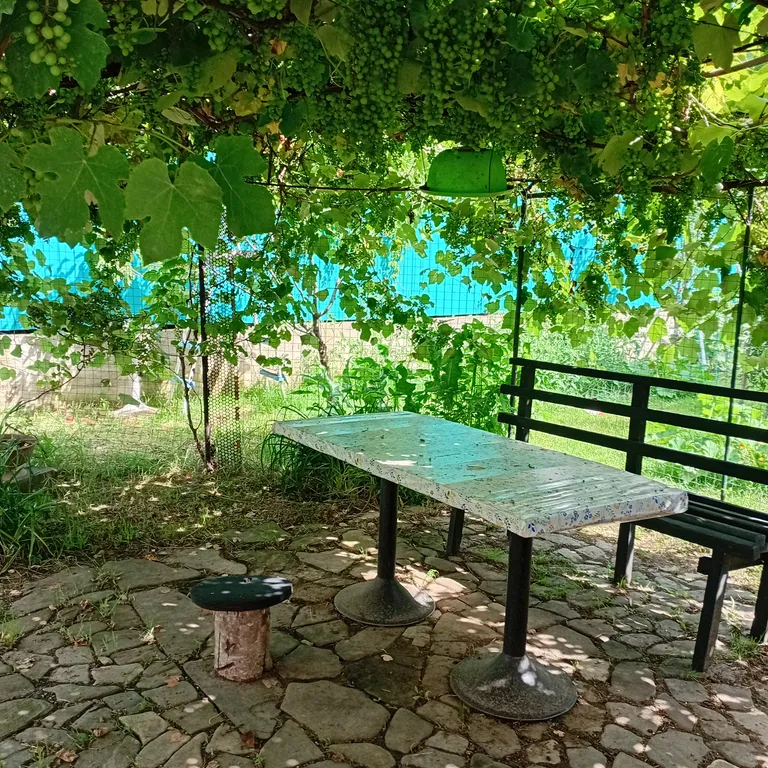 2 комнатный номер со своей кухней, кондиционером, телевизором, душем