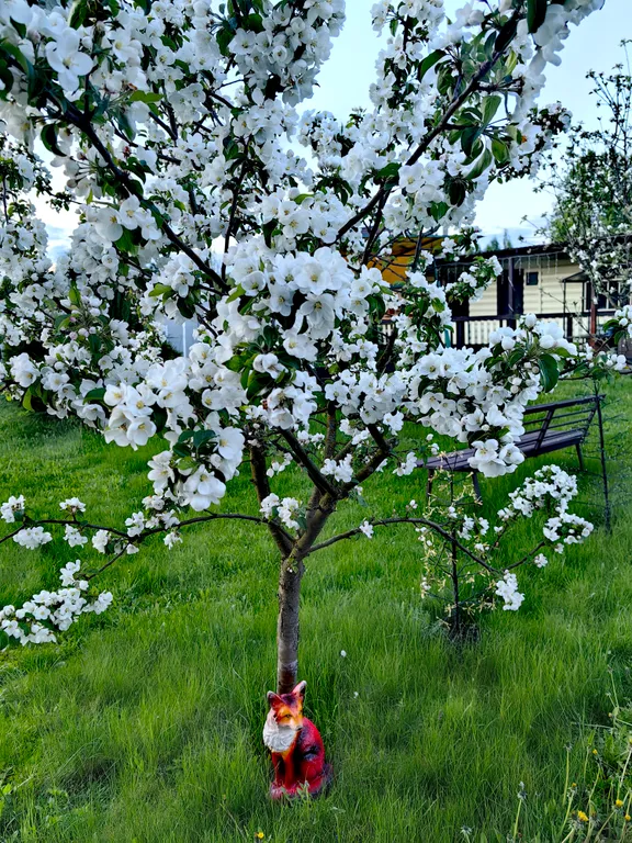 Коттедж Гостевой дом Bellus — Бельское