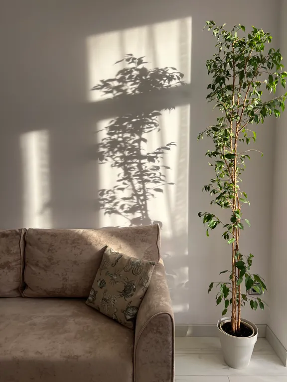 Уютная квартира с террасой у Западного пляжа