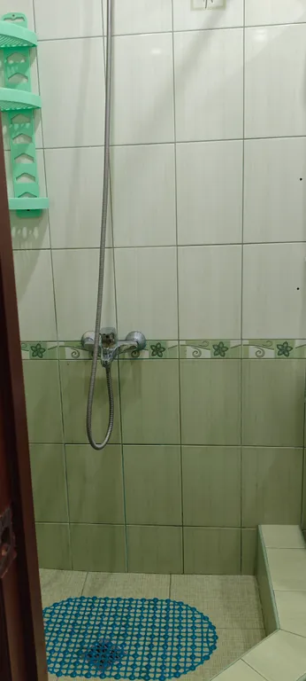 Эллинги на берегу моря