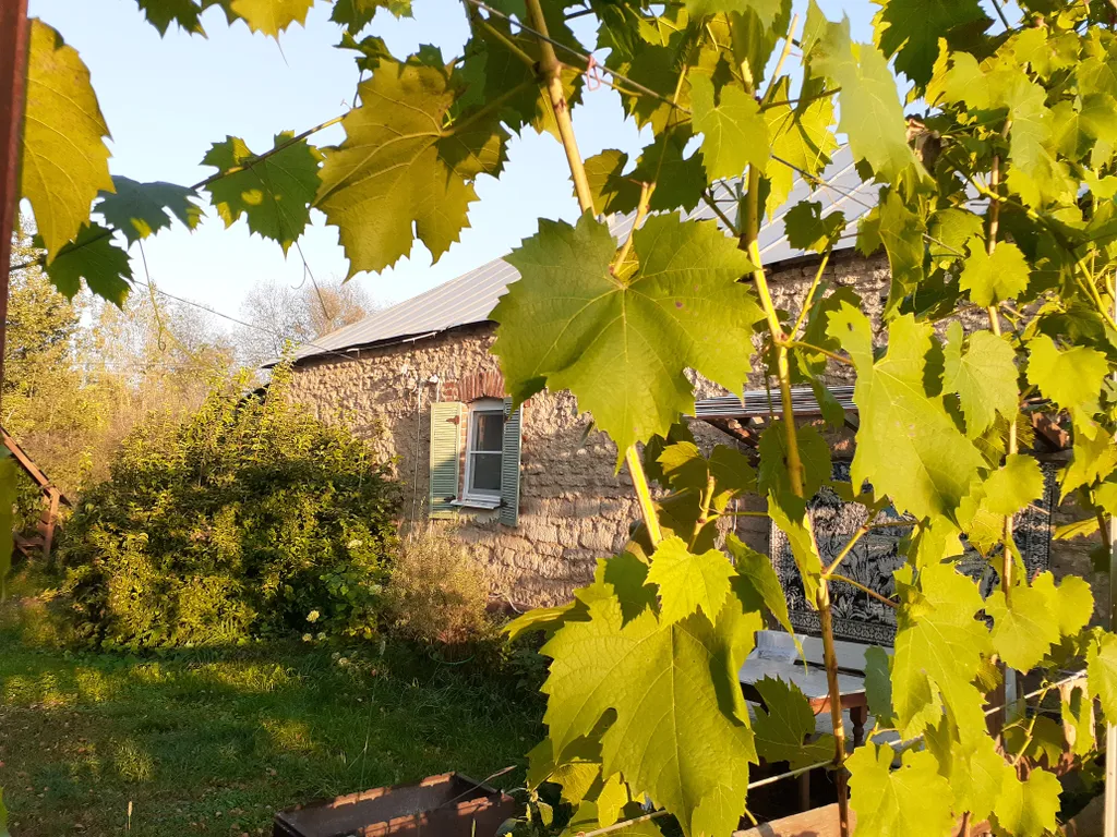 Дом в деревне на Дону в сосновом лесу