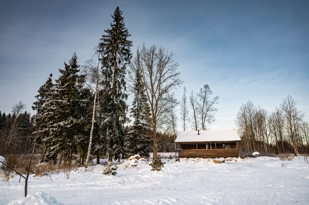 Загородный дом в лесу вблизи залива