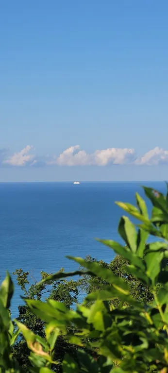 Гостевой дом Горный кедр