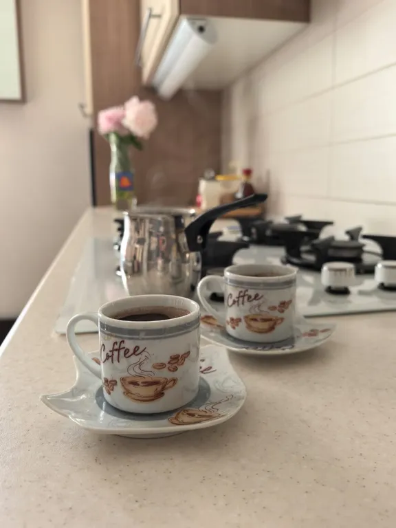 Просторная современная квартира в центре города