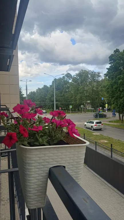 Уютная стильная квартира в 3 минутах от набережной Онежского озера