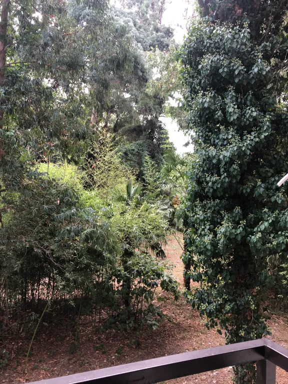 Квартира Уютная квартира с видом в парк — Сириус