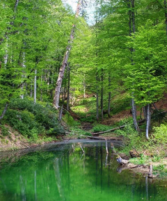 Коттедж Коттедж Голицино — Сочи