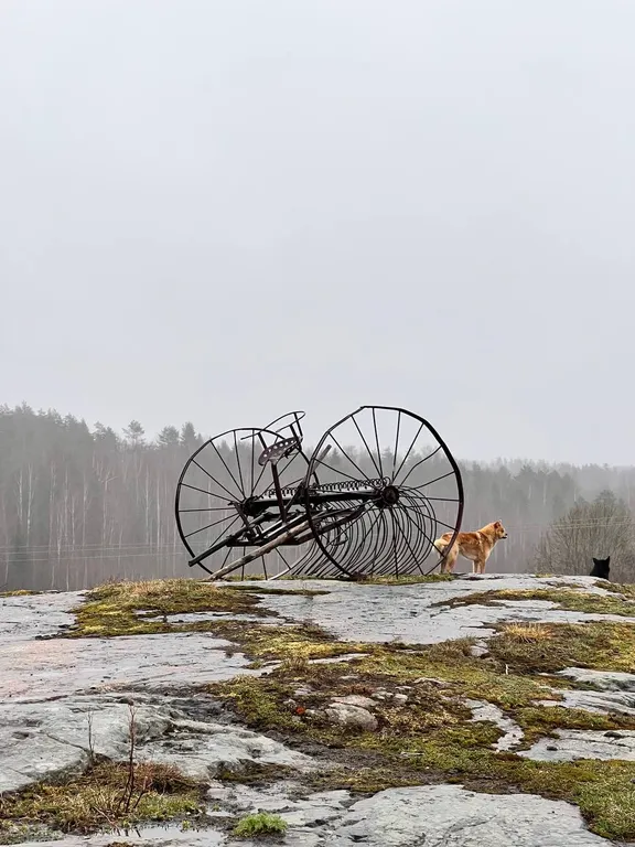 Агроусадьба Ивановых, старый хутор Тауно Туоми