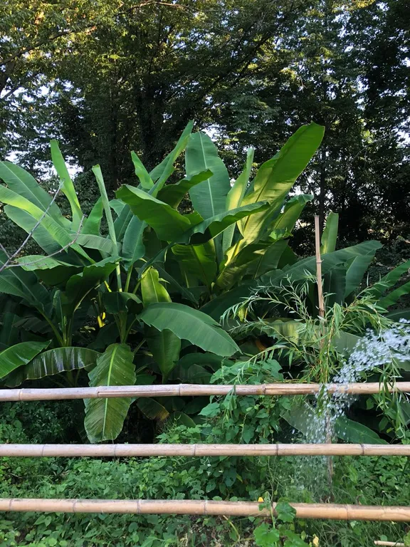 Апартаменты лесное царство