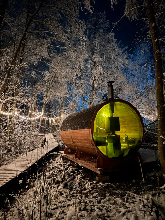 Коттедж Панорамный всесезонный купол с видом в лес — Сиверский
