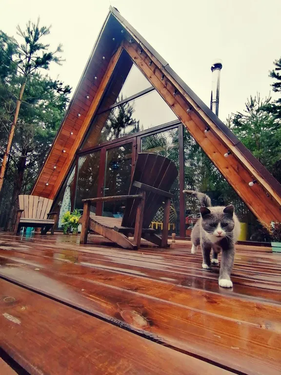 Гостевой домик A-frame в сосновом лесу