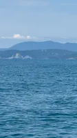 Квартиры у моря. Ольгинка 