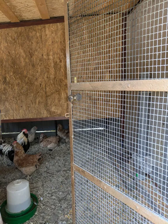 Под сенью дуба