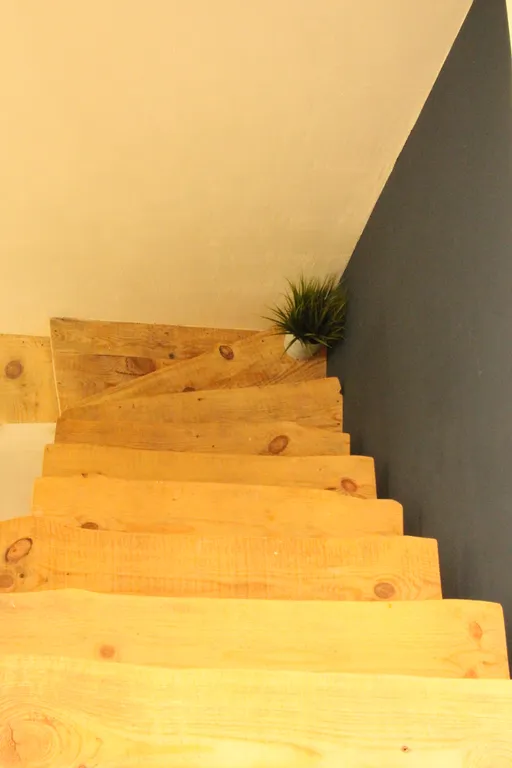 Уютный домик Много дерева