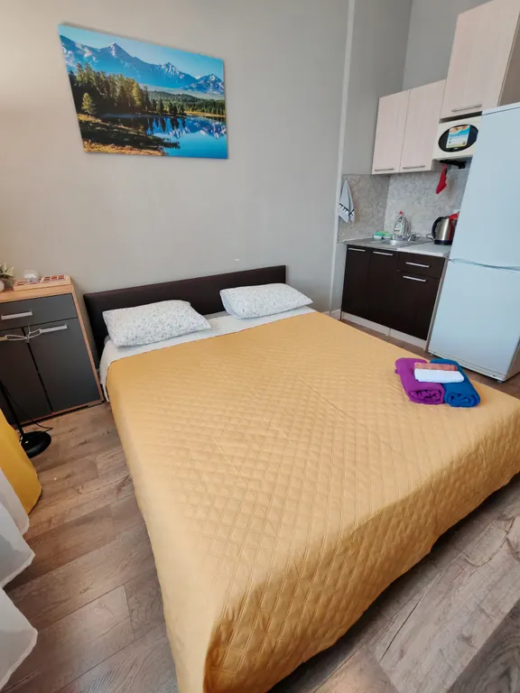 Квартира Квартира Уютная студия у метро — Москва