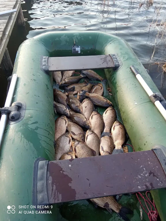 Живописная усадьба в лесу у озера