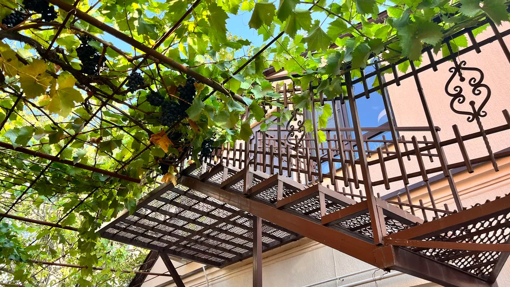 Квартира Квартира Стильная студия в центральном районе Какао Черри — Геленджик