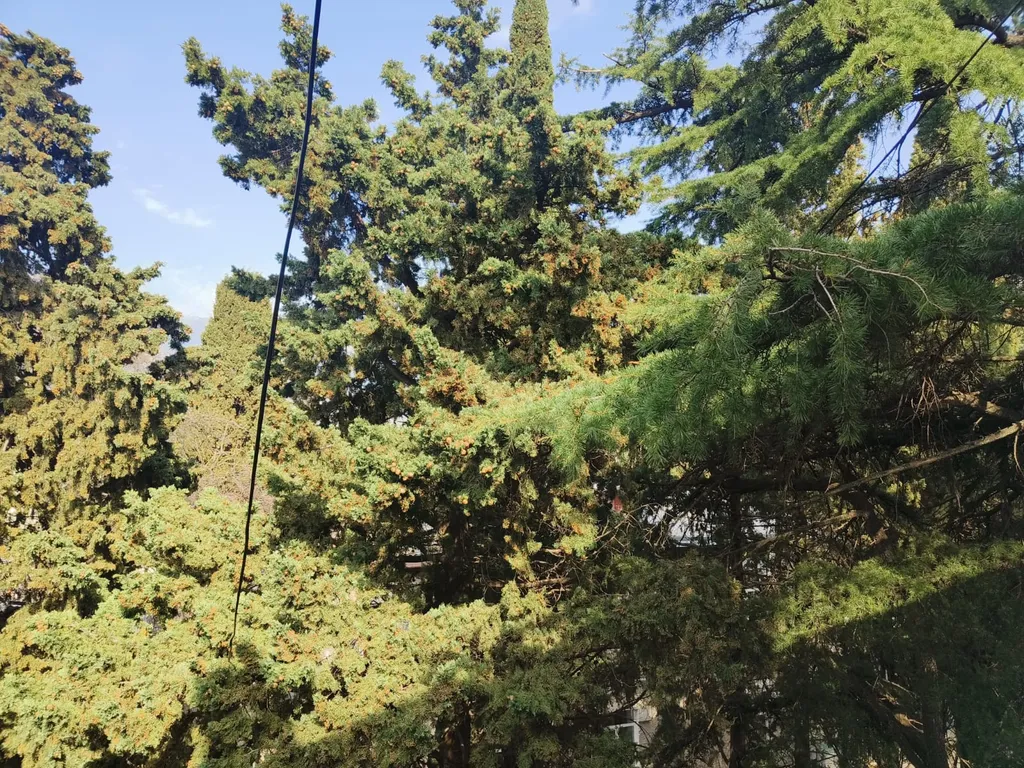 Квартира Видовая квартира на набережной — Ялта