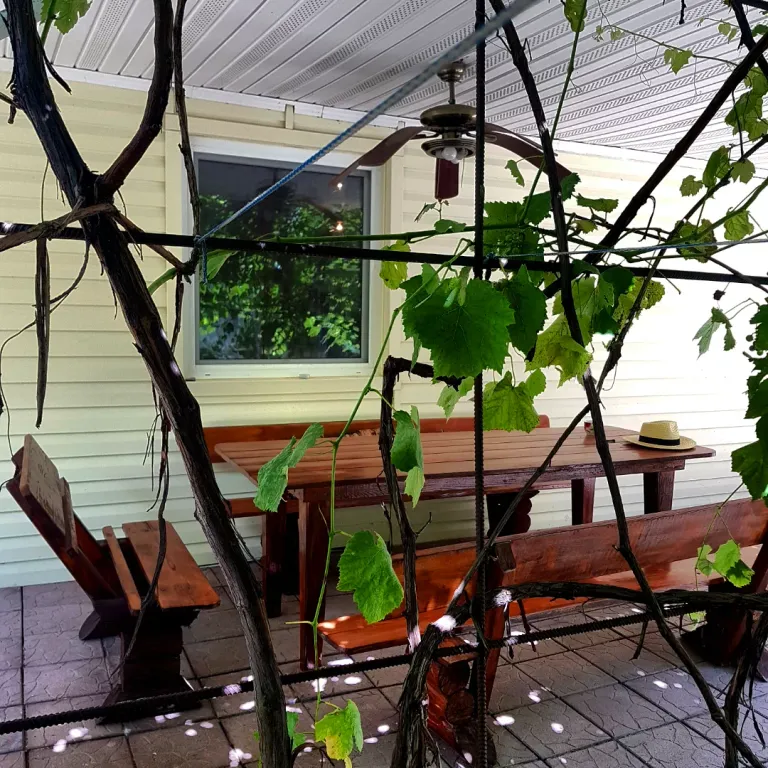 Усадьба Домик у пруда