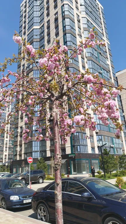 Квартира Квартира Апартамент в 10 минутах от парка Галицкого — Краснодар