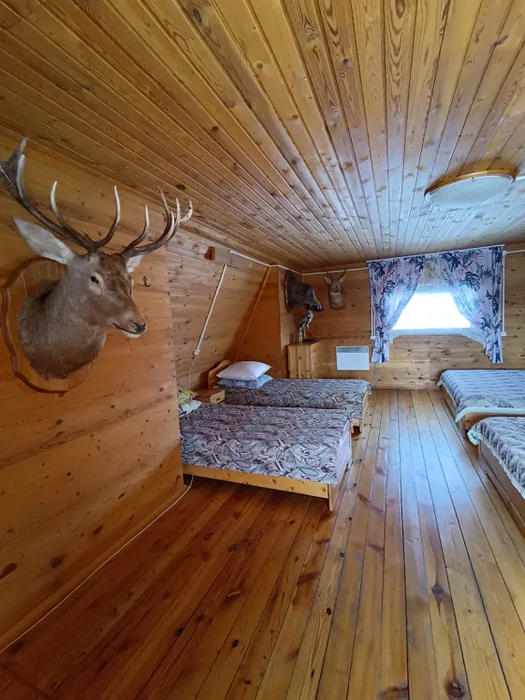 Уютный домик у реки