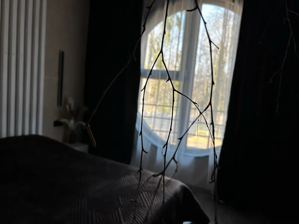 Вилла Луна с сибирским чаном и сауной с панорамным круглым окном