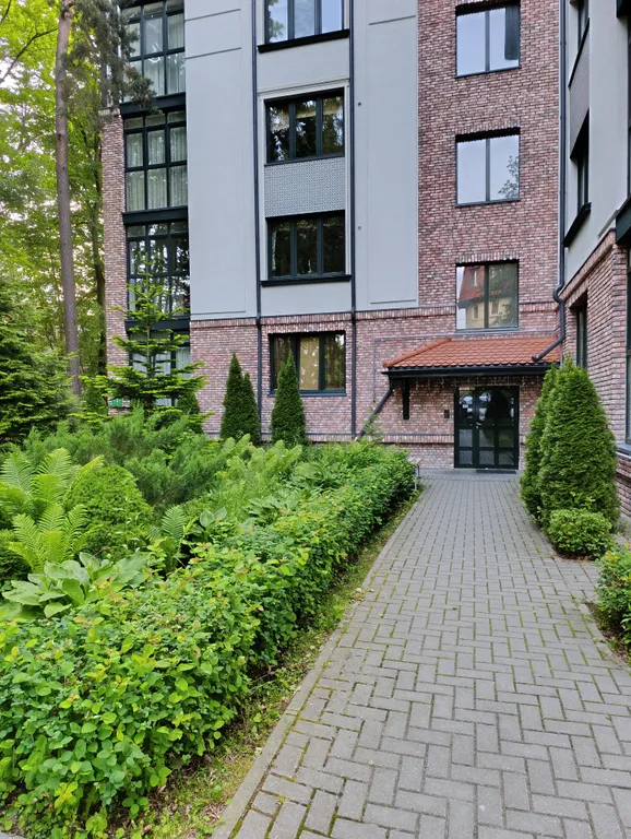 Золотая кисть