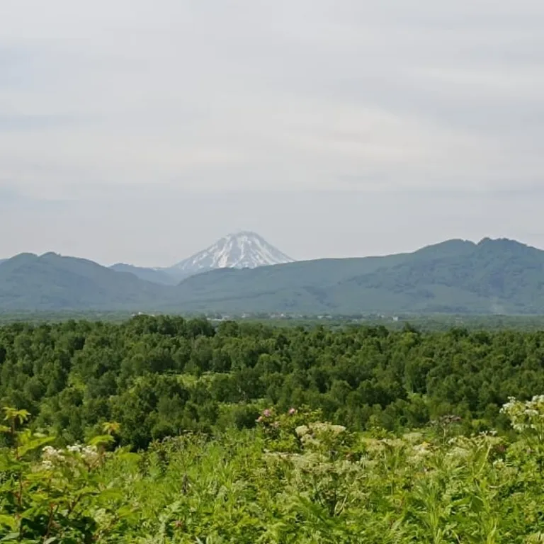 Дома для отдыха "Ипиней" С видами на домашние вулканы, город, бухту