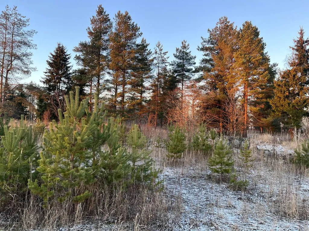 Коттедж Отель Donco для общения с природой — Волосово
