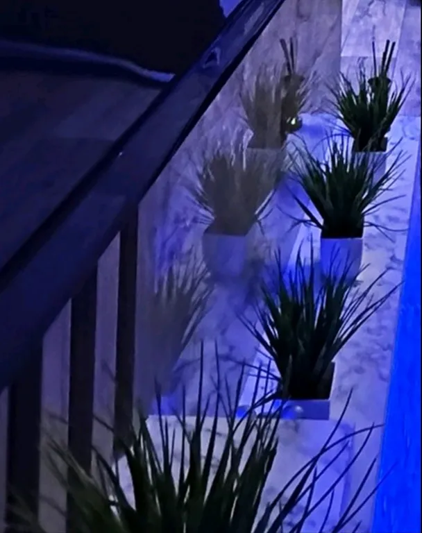 Все даты свободны